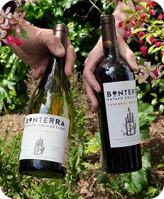 Bonterra Overview